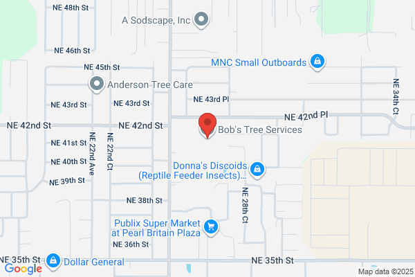 Bob's Tree Service