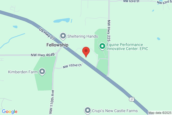 Florida Equine Veterinary Associates