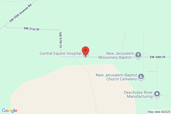 Central Equine Hospital