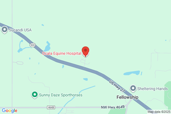 Ocala Equine Hospital, PA of Florida