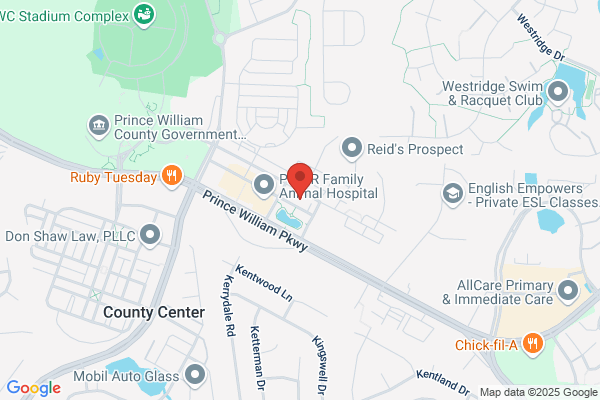 Big Fish Property Management Inc