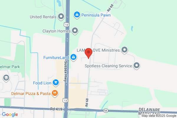 Peninsula Professional Services Inc