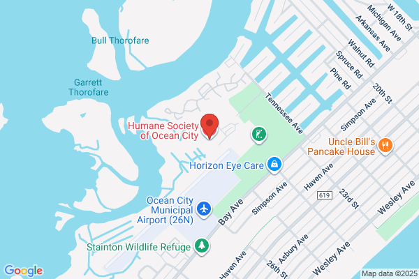Humane Society of Ocean City