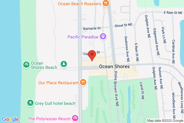 Ocean Shores Kites