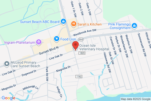 Ocean Isle Veterinary Hospital