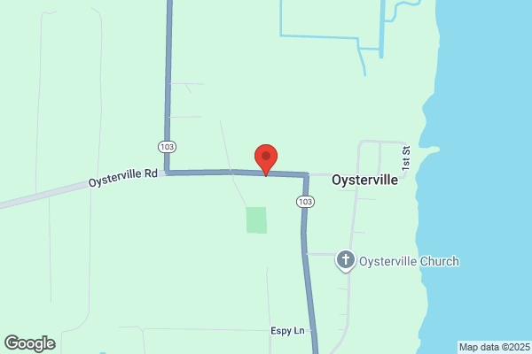 Oysterville Store