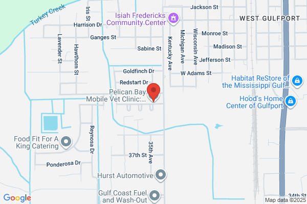 Express Medical
