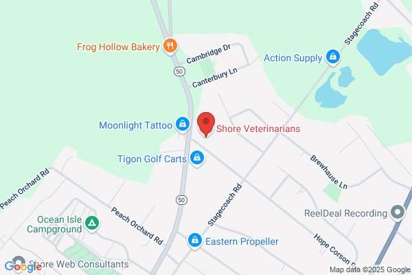 Shore Veterinarians