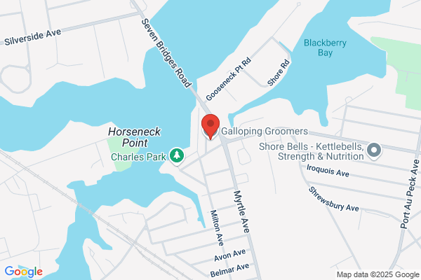 Galloping Groomers NJ