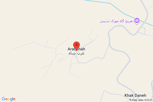 Arabshahi PE