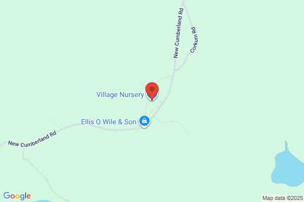 Village Nursery
