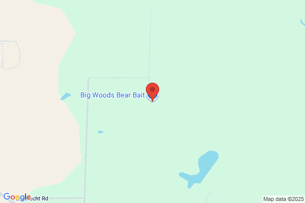 Big Woods Taxidermy