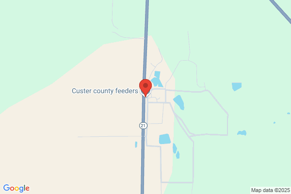 Custer County Feeders
