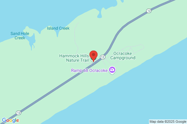 Ocracoke Island Hammock Co