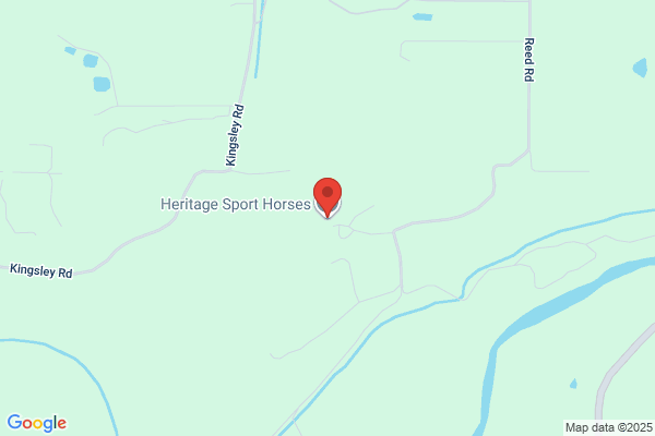 Heritage Sport Horses
