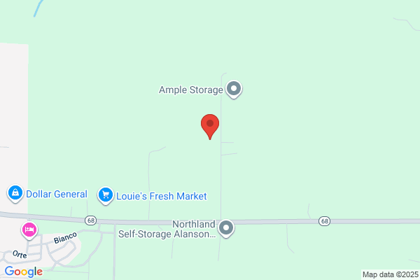 Alanson Self Storage