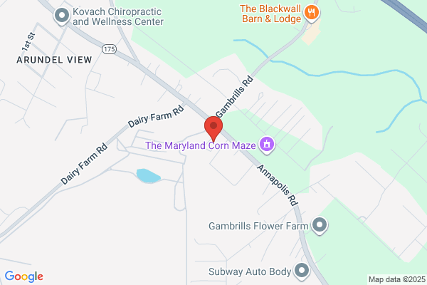 David's Natural Market