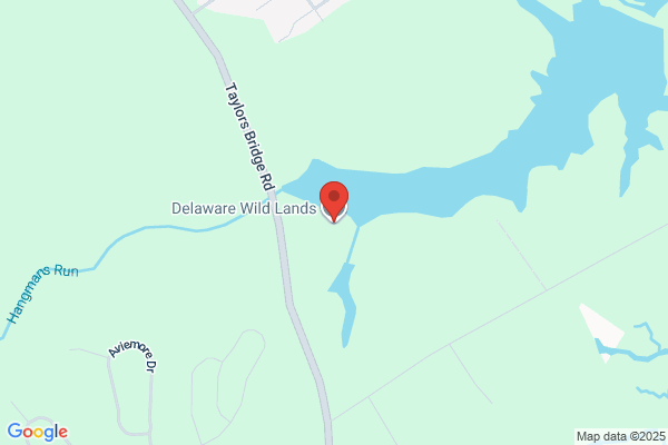 Delaware Wild Lands Inc