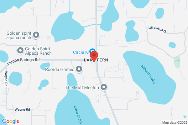 Bitcoin Depot | Bitcoin ATM