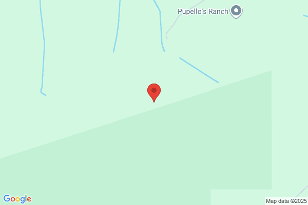 Bianca P. McLendon, DMD - Inactive