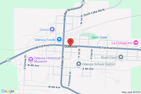 Odessa Record