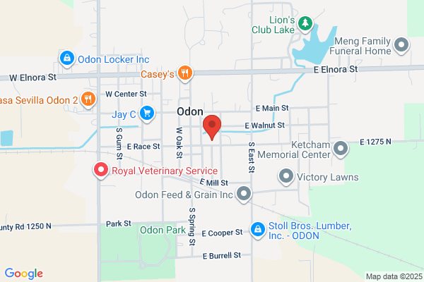 Odon Gymnastics Academy
