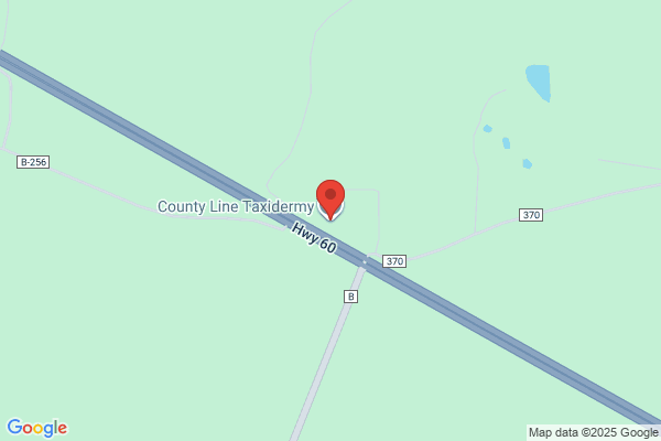 County Line Taxidermy