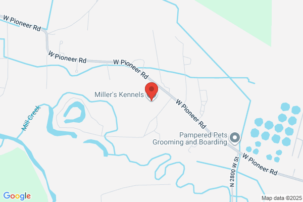 Miller's Kennels
