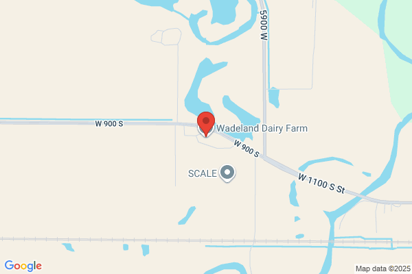 Dolphin Winder Dairy