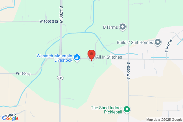 Advanced Embroidery Systems Llc