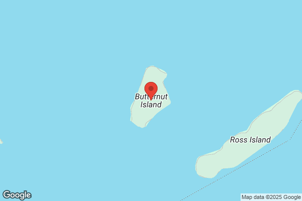 Butternut Island