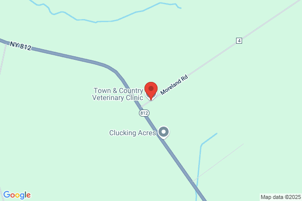 Cedar Animal Clinic