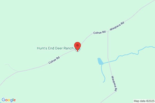 Hunt's End Taxidermy