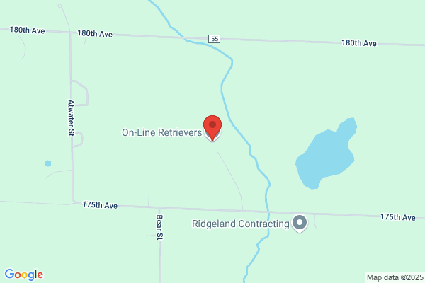 On-Line Retrievers