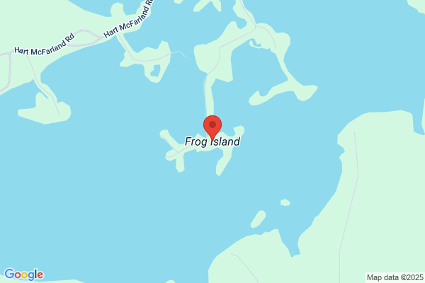 Frog Island Llc