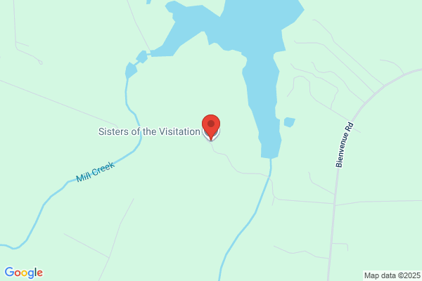 Sisters of the Visitation