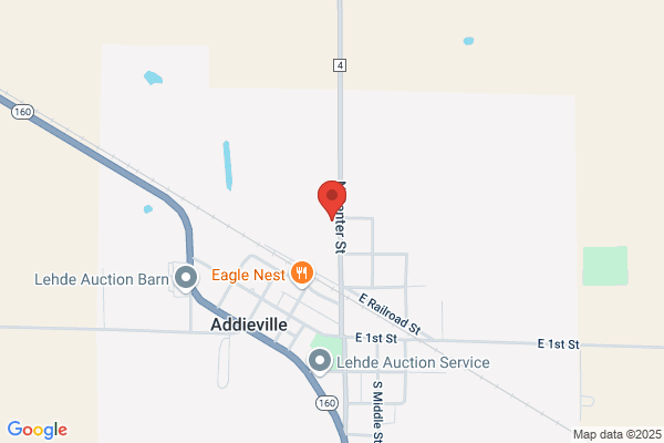 Zapps Tree Trimming & Removal