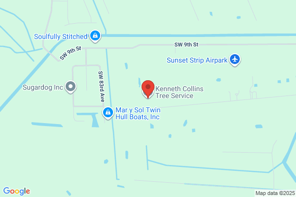 Kenneth Collins Tree Service