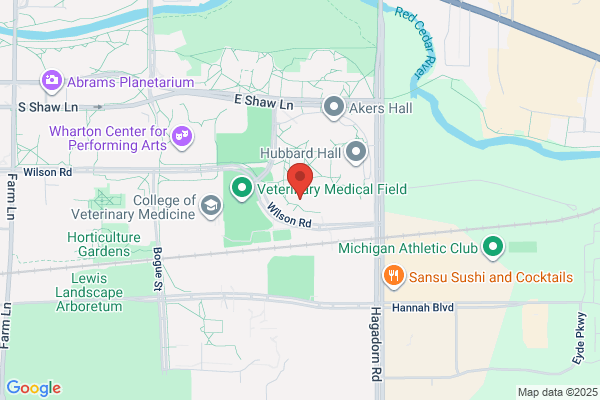 MSU Health Care