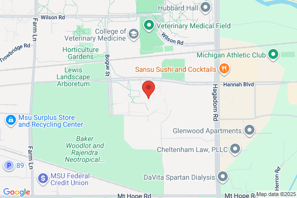 MSU Neurology/Ophthalmology