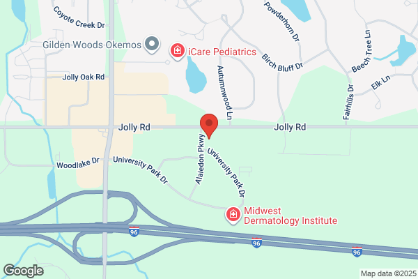 The Wellness Institute of Michigan