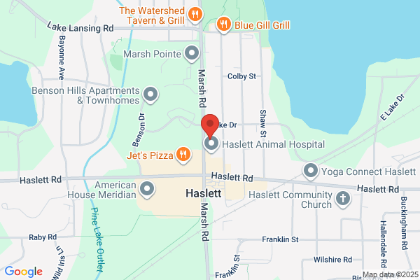 EyeCare Associates of Haslett and Perry