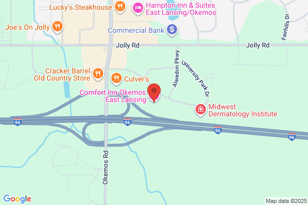 Comfort Inn Okemos - East Lansing