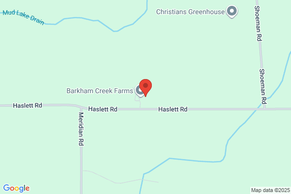 Barkham & Co
