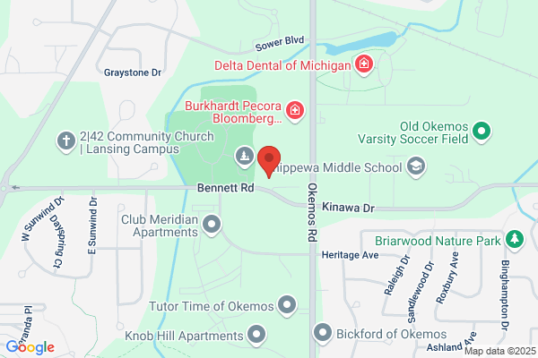 Bennett Road Animal Clinic Inc,MICHIGAN