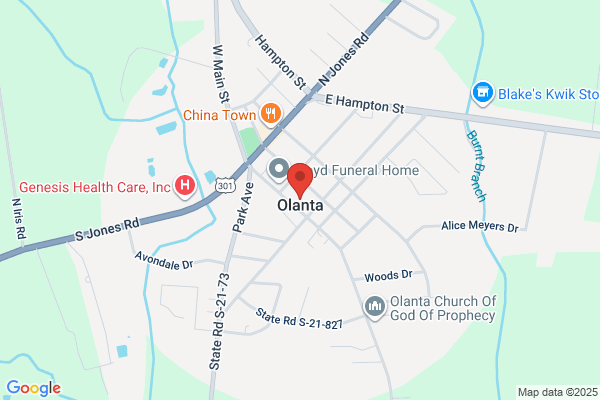 Olanta Motel