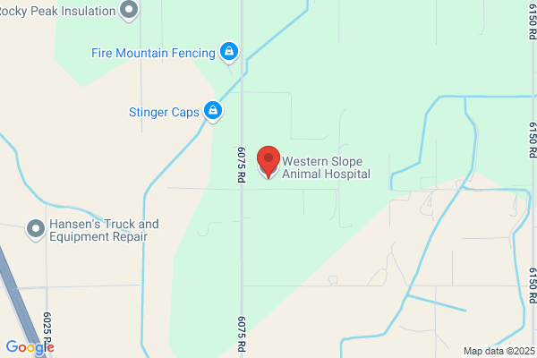 Western Slope Equine Hospital Llc