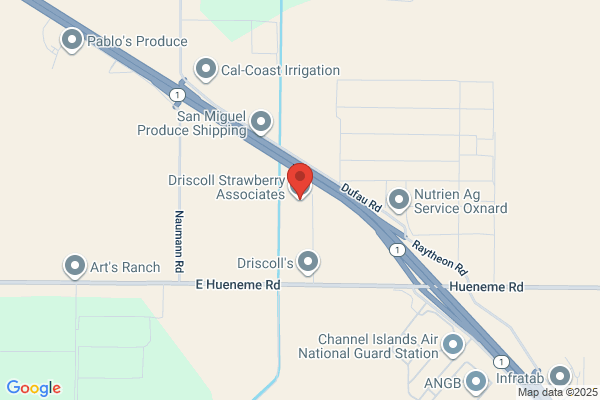 Driscoll Strawberry Associates