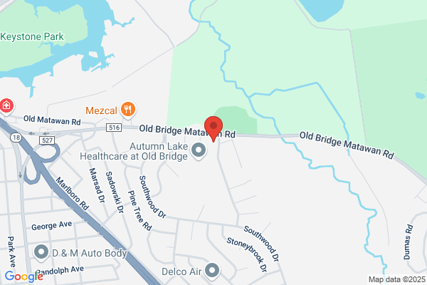 Old Bridge Dental