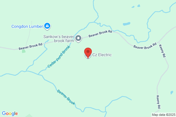 Cz Electric Co